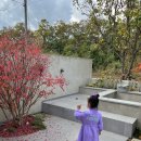 금산다락 이미지