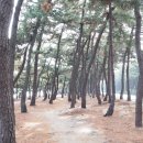 당근바다 이미지