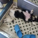 남자는배여자는항구 이미지