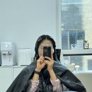 도레브헤어 이미지