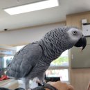 밀레쥬 에듀파크 이미지