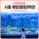 하나교 생태통로 앞 | 시흥 해양생태과학관 아기랑 갈만한곳 예약 주차 관람 후기