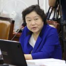 도봉-도봉-서울도봉-2162 이미지