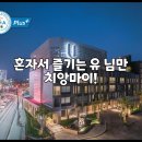 (유)평화교통 | 혼자서 즐기는 유 님만 치앙마이!