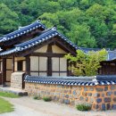 의령 세간리 은행나무 이미지