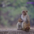 진천가톨릭피부과의원 이미지