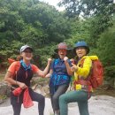 씰즈