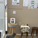 씨루나 | [공지] [평택증명사진]반려동물사진관 찐추천 사파리사진관 평택점 후기