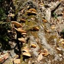 방태산마당바위민박 이미지