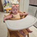 (주)재윤디자인 | 가성비 아기의자 추천, 야마토야 아펠 하이체어 설치 및 사용 후기와 부가부 지라프와 비교