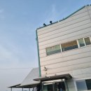 [공지] [서울/잠실/가평] 뉴강남 운전면허학원 학원 후기, 추천? 비추천?