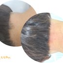 모앤뗀 이미지