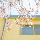 낭산초등학교 이미지