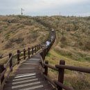 남생이못 습지생태 관찰원 | 닭머르해안길 주차장부터 일몰 명소까지 남생이못까지 걷는 제주 감성 산책코스