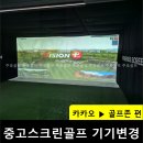 스크린골프VX 이미지