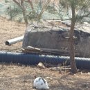 수공목장 이미지