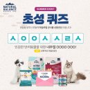 발란스코리아 이미지