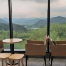 수국정원카페