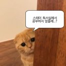더스테이독서실
