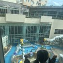 월드아쿠아 | 경주) 세돌아기랑 함께한 ‘뽀로로 아쿠아월드 경주’ 내돈내산 솔직후기