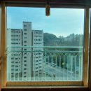 구성그라비스 이미지