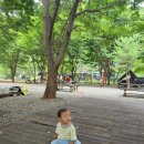 신도시우리약국 | 15개월 아기 파라바이러스로 신도시이진병원 3박 4일 입원