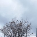 경천 체육공원 이미지