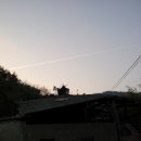 영춘동 Daum카페
