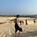 인생낙원 | 베트남 무이네 사막 여행코스 악뮤 소문의낙원 뮤비 촬영지 화이트샌듄 후기