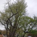 자유공원로 이미지