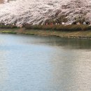 시노래 페스티벌 이미지