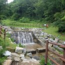 세종펜션민박 이미지