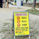 합수농장 | 두물머리| 서울근교 나들이 양평 당일치기 여행 드라이브코스 연핫도그 솔직후기