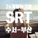 수서어린이집 | 26개월 아이랑 SRT 수서-부산, SRT 유아 기차탑승 놀이감 추천