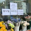 섬강화원 이미지