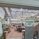 양주농협자재센터 | 고양&#39;한국화훼농협 본점&#39;방문후기