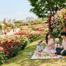 [언제든학교]조향사와 함께하는 향수이야기 시즌3 | 도심 속 비밀의 화원 대현산배수지공원 장미원 대중교통과 자동차로 찾아가는 완벽 가이드