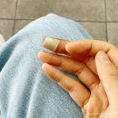 빵빠레노래연습장 | 그게 되나 적당히 좋아하는 게 그게 되나 적당히 빠져있는 게