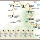 팔공산왕건길 7코스 이미지