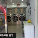 크린수유 이미지