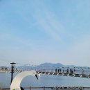 예산-69 | 예산 예당호 출렁다리 산책후 모노레일까지, 충남드라이브코스 후기