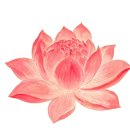 本焕长老：他活了106岁，出家后带领百万佛子念佛，往生后惊现祥瑞！ 이미지