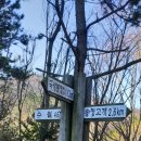 대우꿈나무어린이집 이미지