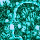 (주)엑셀바이오 이미지