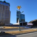 수원-0741 네이버블로그