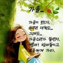 나노그람 이미지