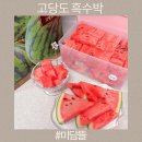 미담포크 | 여름 제철과일 고당도 흑수박 미담뜰