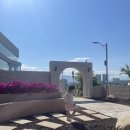 자연임실치즈피자속초점 이미지