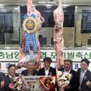 한우한마리 이미지