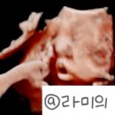 샬로미 이미지
